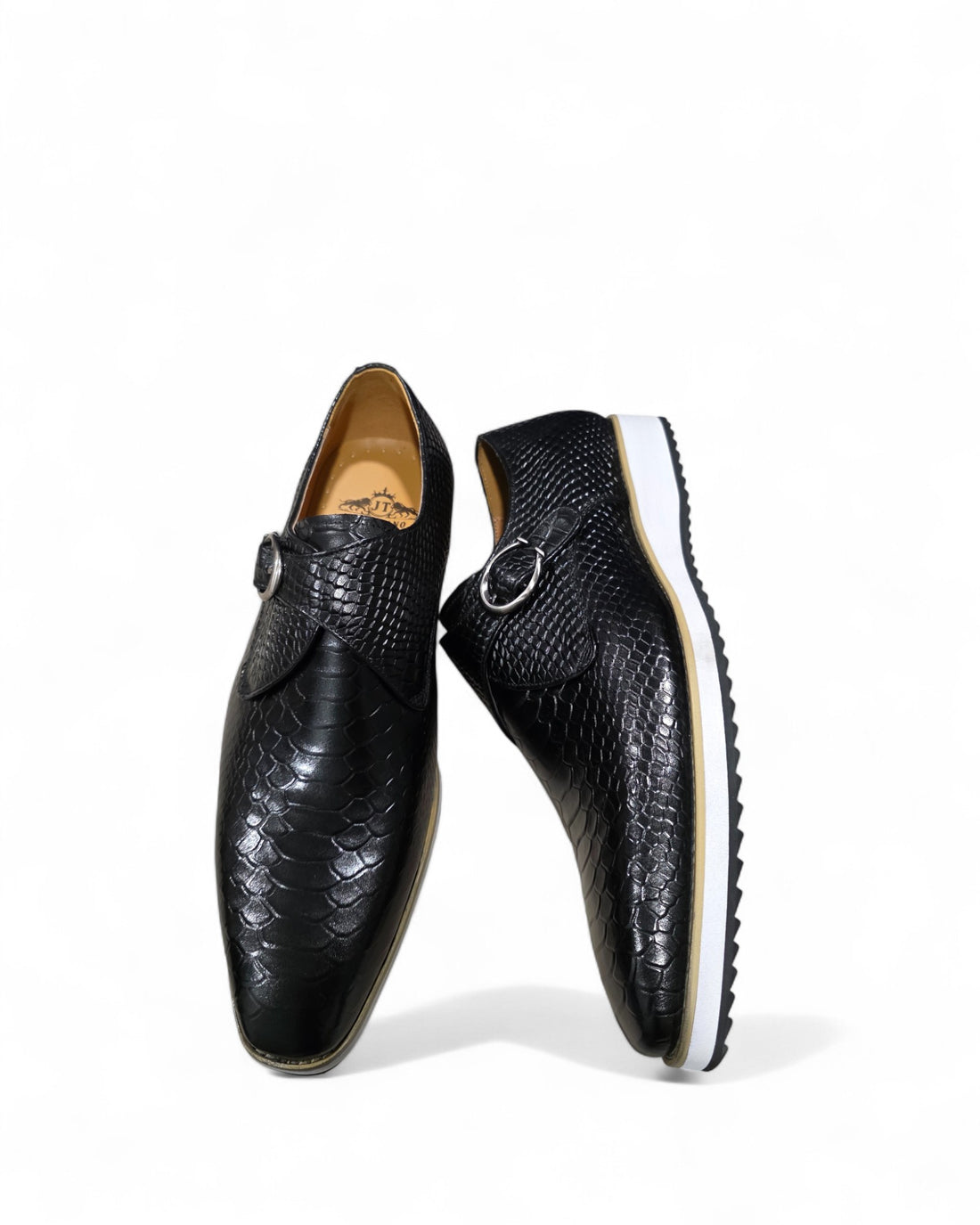 coccodrillo di Ancona